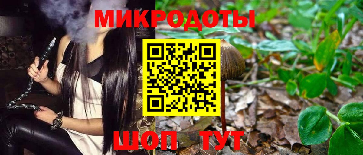 Псилоцибиновые грибы Psilocybe Нарткала