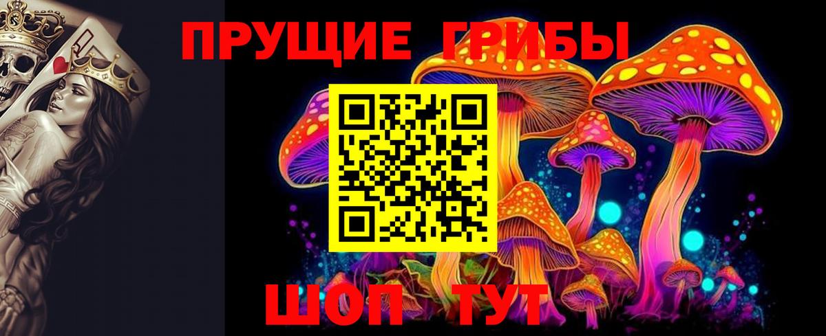 Галлюциногенные грибы MAGIC MUSHROOMS  Вход с VPN  Нарткала 