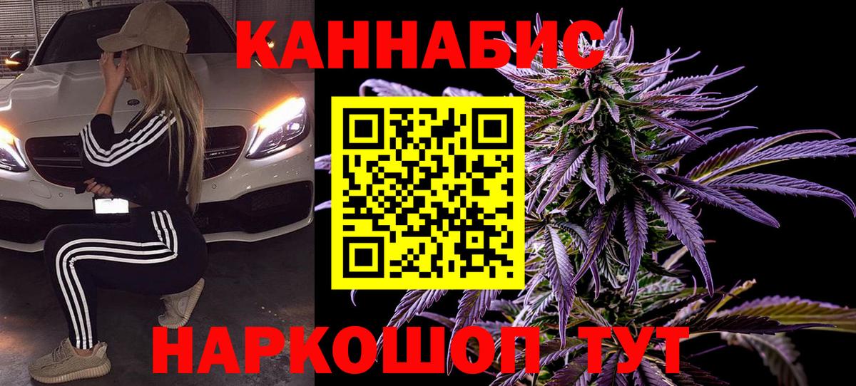 Шишки марихуана марихуана  Канабис тримм  Нарткала  Вход с VPN  Конопля конопля  Бошки марихуана индика 